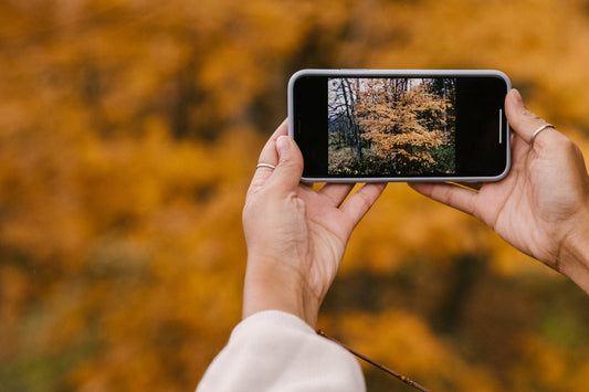 Top Fall Season Device Charging Stations: A Comprehensive Guide